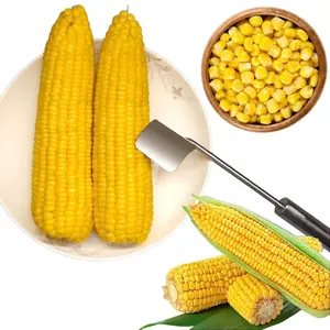 Kitchen Gadget: Stainless Steel Corn On The Cob Remover with Ergonomic Handle - Peel, Separate & Enjoy Corn With Minimal Effort Utensils Machine