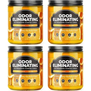 4 Pack Citrus  Odor Eliminating Highly Fragranced Candle -  95% of Pet, , , and Other Smells , Non  Air Freshing Soy Candle