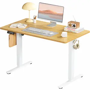 Electric Standing Desk 40 Inch Height Adjustable Desk, 4 Memory Presets，Motorized Sit Stand Desk with Quiet Dual Motor, Modern Ergonomic Computer Desk for Home Office - Oak