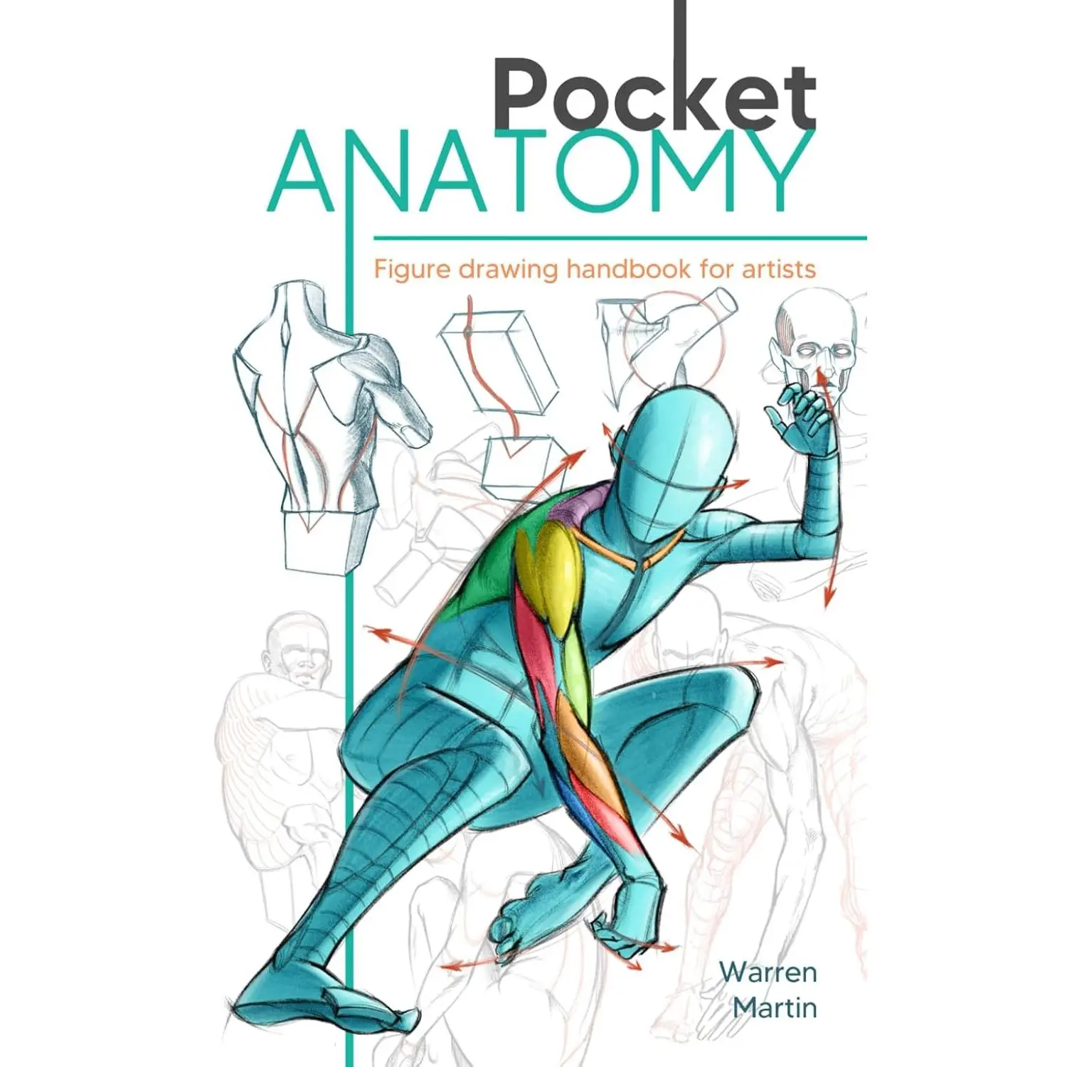 Pocket Anatomy: Figure Drawing Handbook in Color for Artists, Learning How to Draw Human Body by Simplifying the Complex Structures