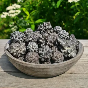 3pcs Natural Raw Rough Prophecy Stone Pseudomorph Quartz Crystal Reiki Mineral Rocks Specimens Cosmic Energy Spiritual