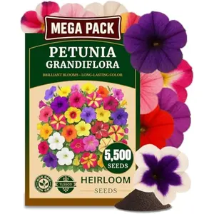 5500+ Petunia Seeds, Pack for 2026 USA Premium Non-GMO Flower Seeds Mixed Rainbow Color, Bonsai, Grandiflora Flowers, Pollinator Garden, Open Pollinated, Indoor and Outdoor