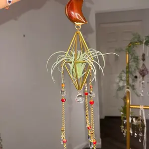 Carnelian Crystal Moon Suncatcher