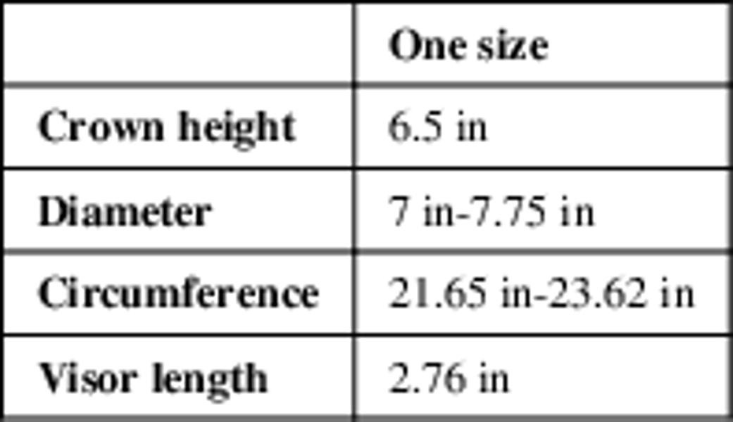 The Patriot Fox Snapback Trucker Cap Donald Trump's INAUGURATION DAY