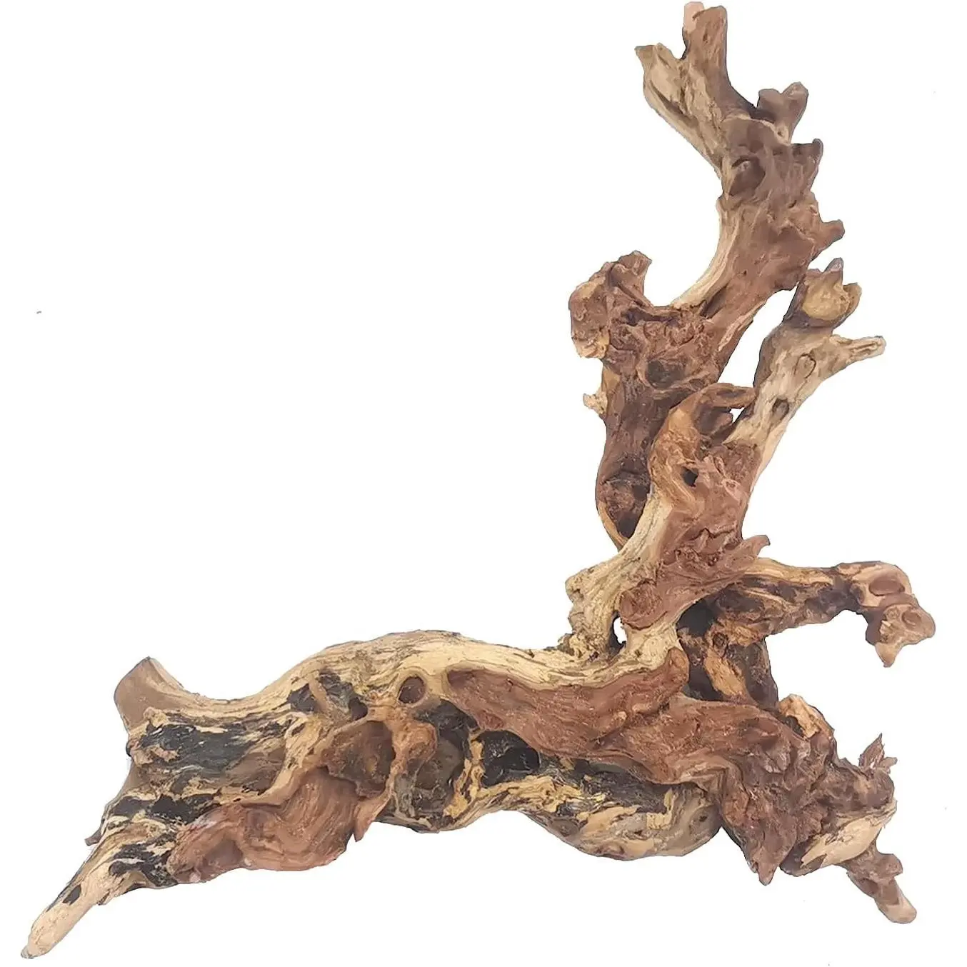 Rustic Natural Aquarium Driftwood - 1-Piece 7-15 In Decor, Safe for Fish Tanks & Terrariums Hardscaping, Coral-Shape Wood Branch with Tannin Release & Hiding Spots for Betta Habitats