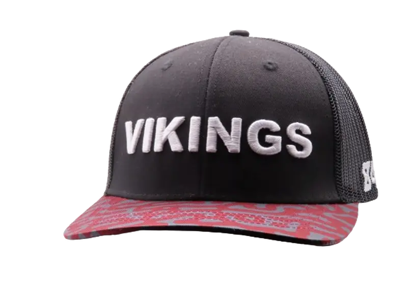 Vikings Trucker