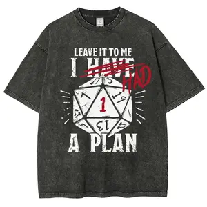 I Had A Plan Washed Tee, Vintage Tabletop Gaming Graphic, Retro Critical Fail Dice Illustration, 90s Heavyweight Streetwear