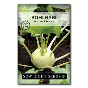 White Vienna Kohlrabi