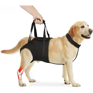 Supet Dog Sling for Large Dogs Hind Leg Support, Senior Dogs Lift Assist Harness for Weak Back Leg Support, Help Large Breed Rear Leg Up Harness, Mobility Aids for Elderly, Injured, Paralyzed Dog, XL