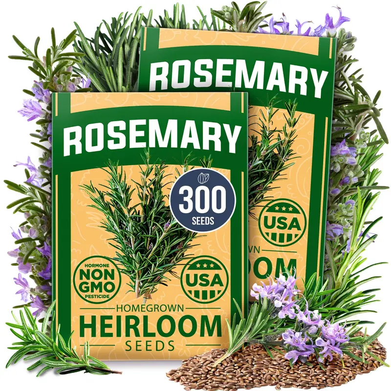 how to identify rosemary plant - TikTok Shop