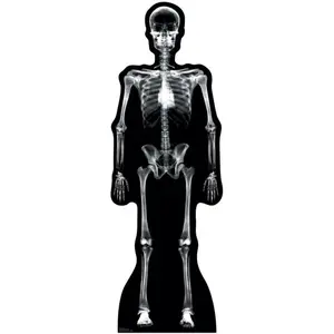 Advanced Graphics 904 Life-Size X-Ray Skeleton Cardboard Cutout, Home Decor Accent for Halloween