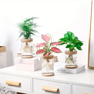 Transparent Hydroponic Plant Pot, Glass-Like Design, Soilless Growing, Plants, Resin Window Sill, Garden Tools, Indoor Decorative Pots, Hydroponic Planters