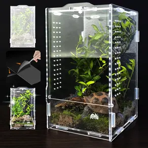 Jumping Spider Habitat,  Terrarium,  Enclosure, Praying Mantis Habitat, Frog Enclosure