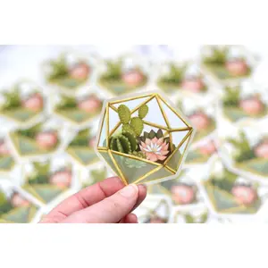 Succulent Terrarium Sticker