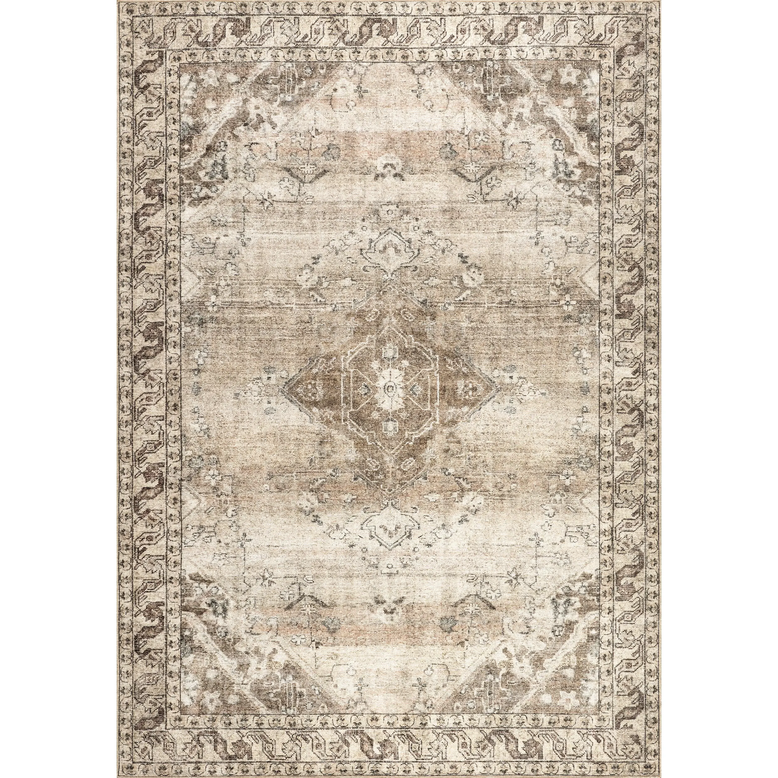 Hillstone Collection Ahmeira Traditional Vintage Medallion Area Rug