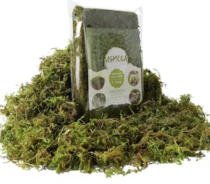 Fake Green Moss for Potted Plants, 7OZ Artificial Moss for DIY Crafts, Faux Moss for Table Centerpieces Fairy Garden Decor (Fresh Green 140gr)