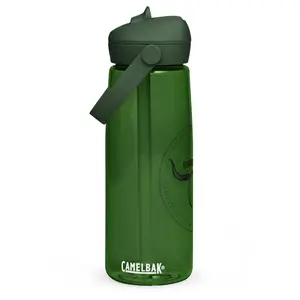 CamelBak Flip Straw Water Bottle 25 oz BPA-free Tritan Renew Stain Resistant Leak-proof Bite Valve Pivoting Handle Portable Drinkware Tumbler Cup Mug