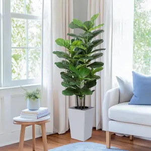 Artificial Trees with White Tall Planter - Tall Fake Fig Silk Tree with Lifelike 64 Large Fiddle Leaves - Faux Floor Plant for Home Office Decor