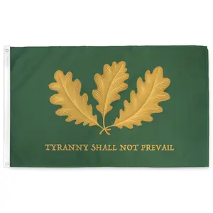 Tyranny Shall Not Prevail Flag