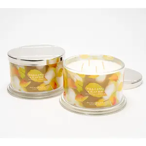 HomeWorx by Slatkin + Co. S/2 18-oz. Falling Leaves Candles