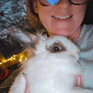 21 Pcs Rabbit Chew Toys for Teeth, Rabbit Toys Apple Wood Grass Timothy Sticks Chew and Treat for Guinea Pigs Hamster Chinchillas