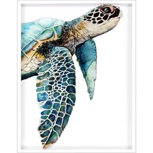 HomeRoots 403697 Great Sea Turtle White Print Shadowbox Framed Wall Art, Turquoise