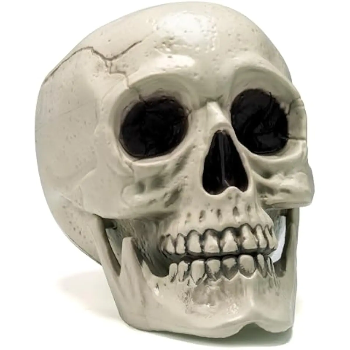 Skeleton Halloween Decorations, Life Size Human Skull Model Indoor Outdoor Decorations for Trick-or-Treaters, Realistic Plastic Human Head Bone Tabletop Home Decor (6 x 5.5 x 7.5 Inches)