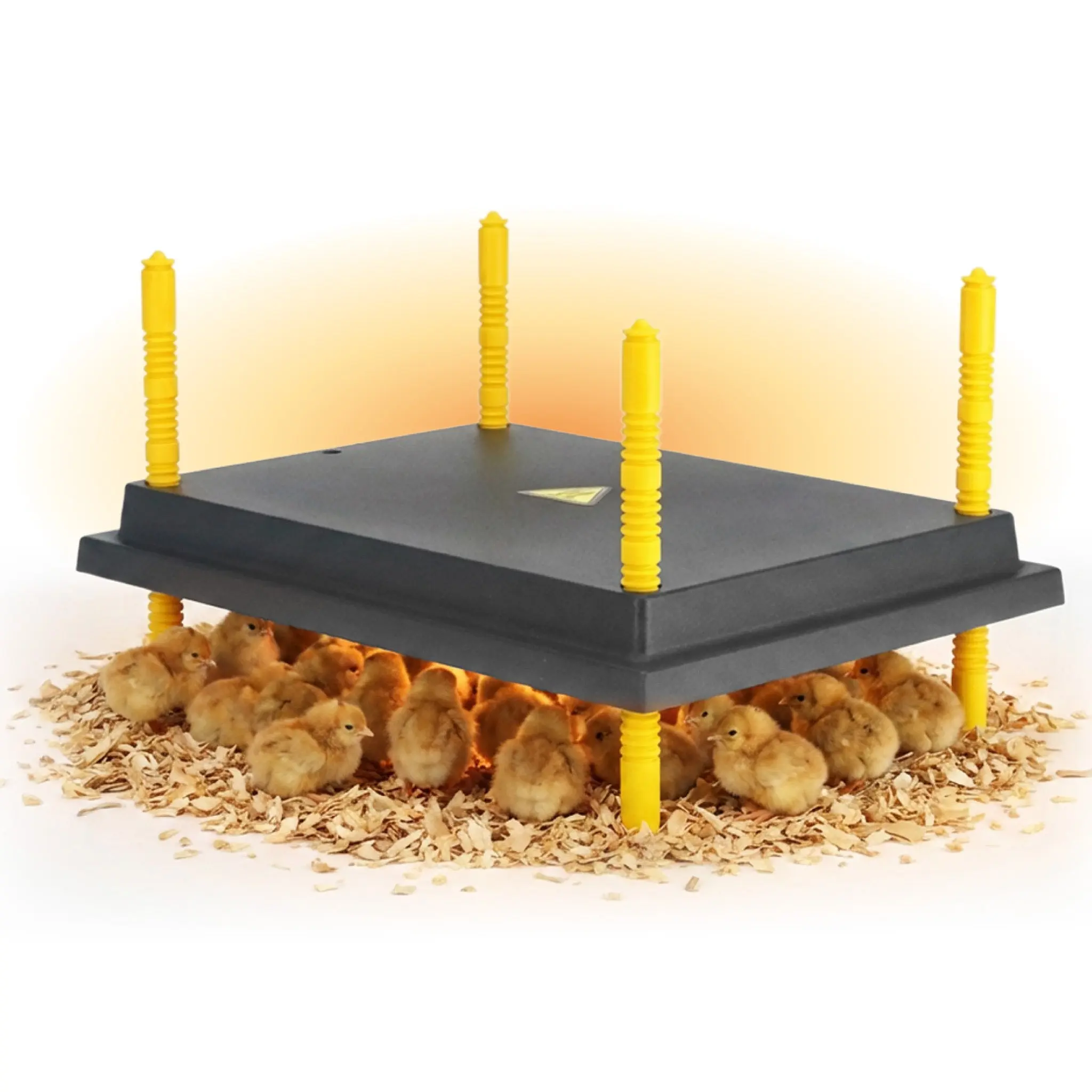 Warmzy Heating Plate (16" x 22") 50-55 chicks