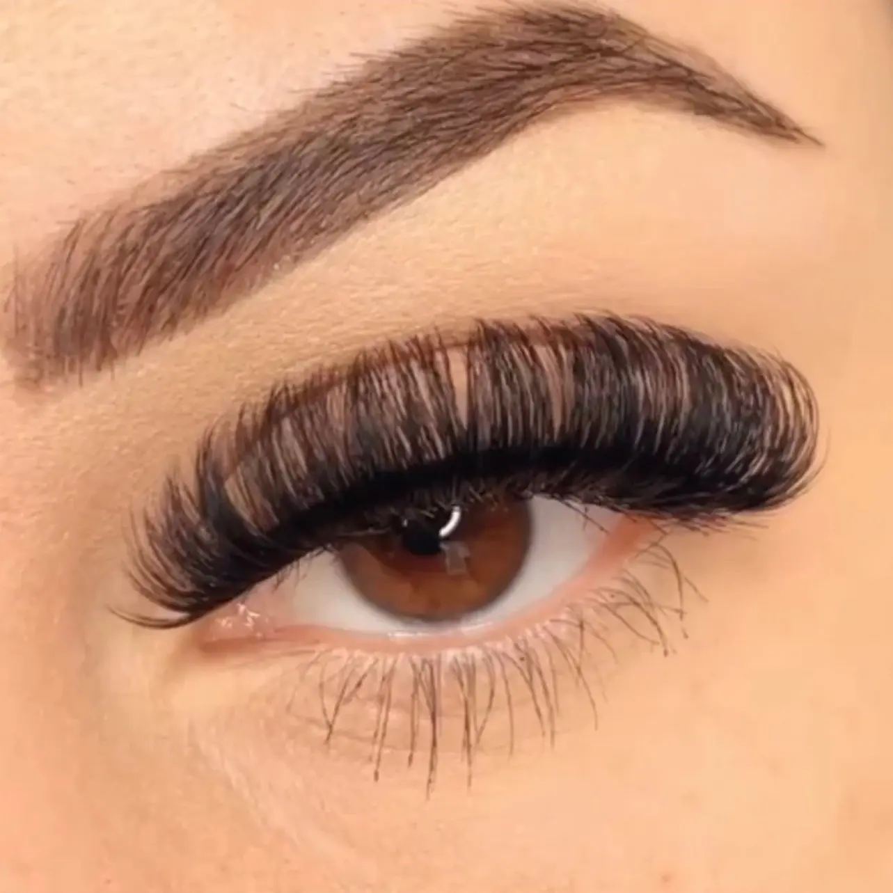 EyesonElegance lashes Extension kit