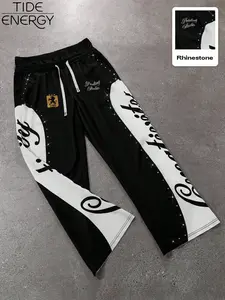 Men's Loose Colorblock Wide Leg Pants, Streetwear, Embroidered Rhinestone Lettering, Lion Emblem, Painting Studio Design