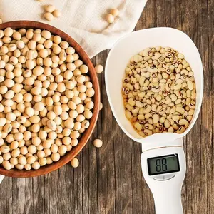 Digital Measuring Spoon, Weighing Spoon Scale 800g-0.1g High Precision Digital Food Spoon for Baking Cooking Coffee, LCD Electronic Measuring Spoon for Kitchen Gadgets and Daily Meals, Dog Cat Food precise graduation