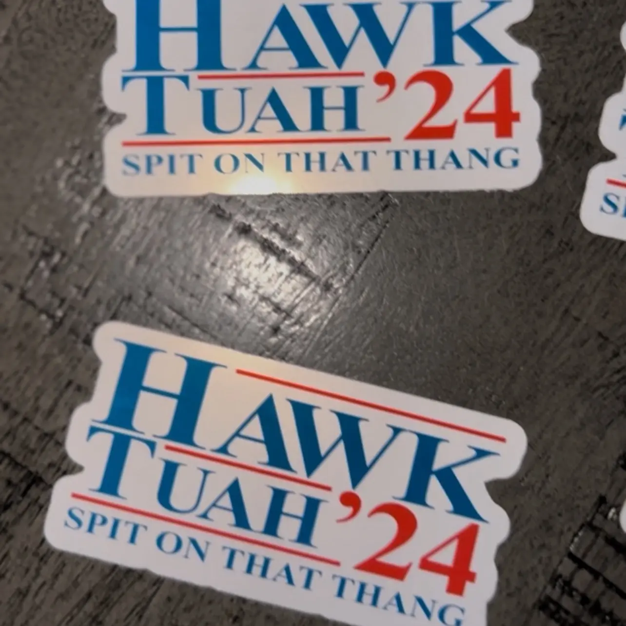 Water proof Hawk Tuah Stickers