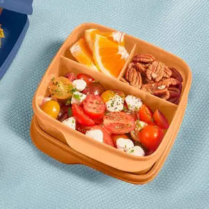 Tupperware Eco+ Lunch-It 3-Compartment Food Storage Container - Airtight, Reusable, Eco-Friendly, 550 mL Capacity, Dishwasher Safe