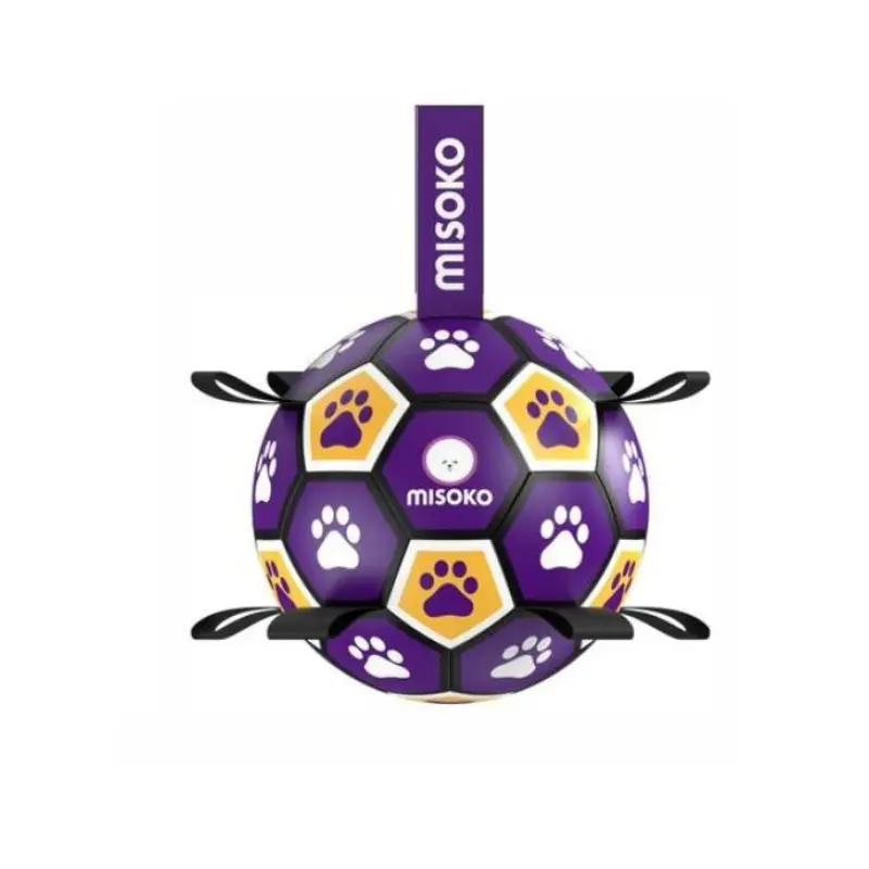 Ultimate Fetch & Float Ball
