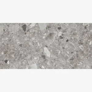 Arden Gray 24x48 R Porcelain Tile Matte Sample
