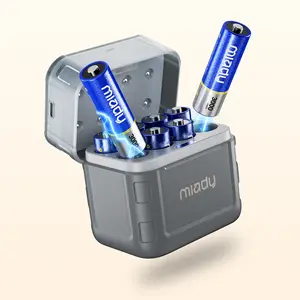 Miady Rechargeable Lithium AA Batteries 8 Pack with Fast Charger, 1.5V 3000mWh High Capacity Lithium AA Batteries, Double A Batteries with 2000+ Cycles for High-Drain Devices Cable Charging