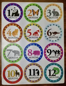 Baby Milestone Stickers Animal first year by month