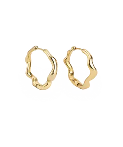 Dazzling Earrings