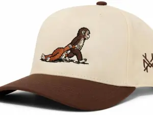 Embroidered Animal Baseball Cap Premium Two Tone Snapback Adjustable Unisex Casual Streetwear Hat Clean Minimal Everyday Cap Multi Color Options