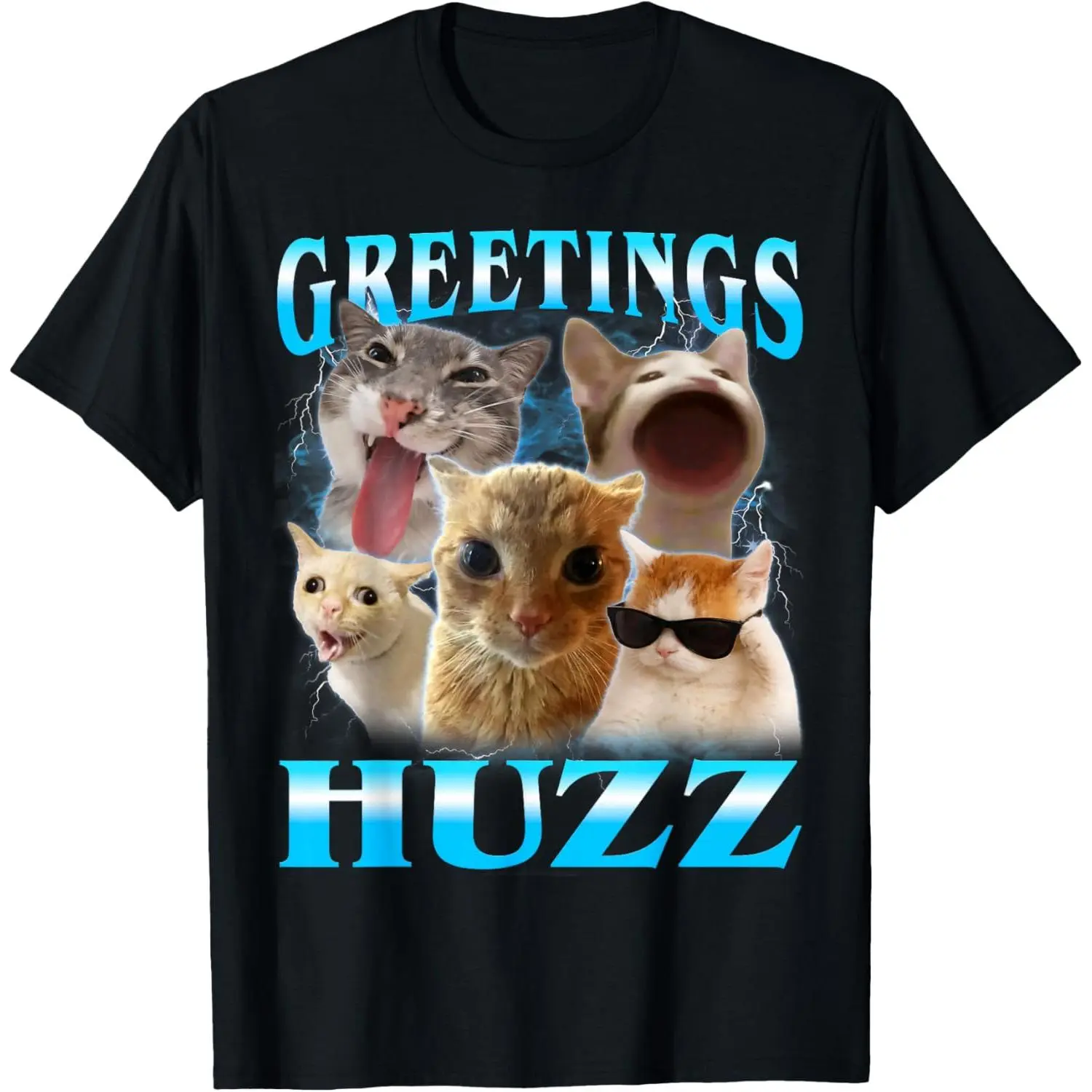 Cat Meme Greetings Huzz Funny Silly Cats Lover Women Mom T-Shirt