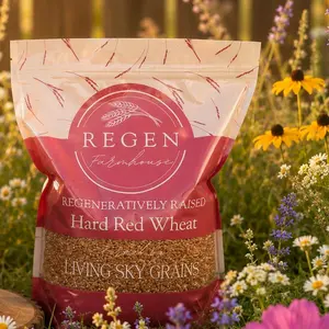 Bread Protien (Berry) hard red 5lbs