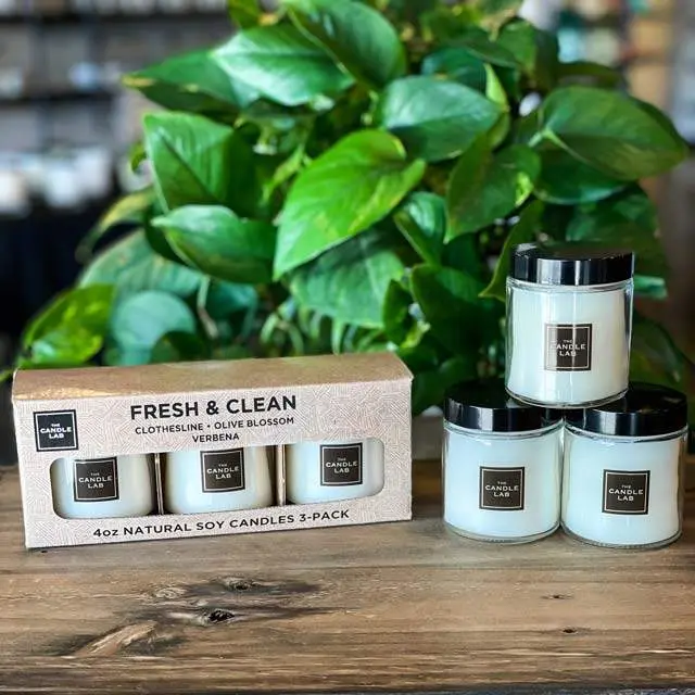 Fresh & Clean Candle 3-Pack - Clothesline, Olive Blossom, Verbena Scents - Hand-Poured Soy Wax - Perfect for Gifting and Home Decor