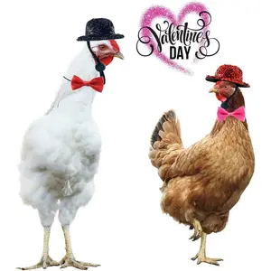 Valentine's Day Chicken Hats and Bowtie for Hens Chicken Top Hat with Adjustable Chin Strap for Poultry Hen Rooster Duck Parrot 4pcs in One Package (2pcs Top Hat and 2pcs Bowtie)