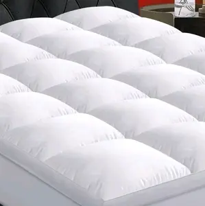 Queen Size 900GSM Pillow Top Mattress Topper - OEKO-TEX Certified, Cooling for Hot Sleepers, Noiseless, Back Pain Relief, 8-21" Deep Pocket Mattress Cover (White)
