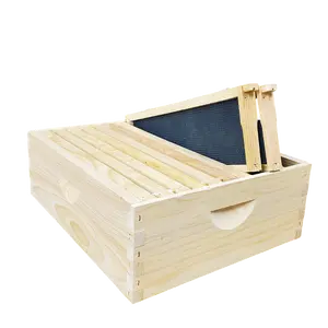 10-Frame Complete, Medium 6 5/8-inch Box with Frames and Foundation