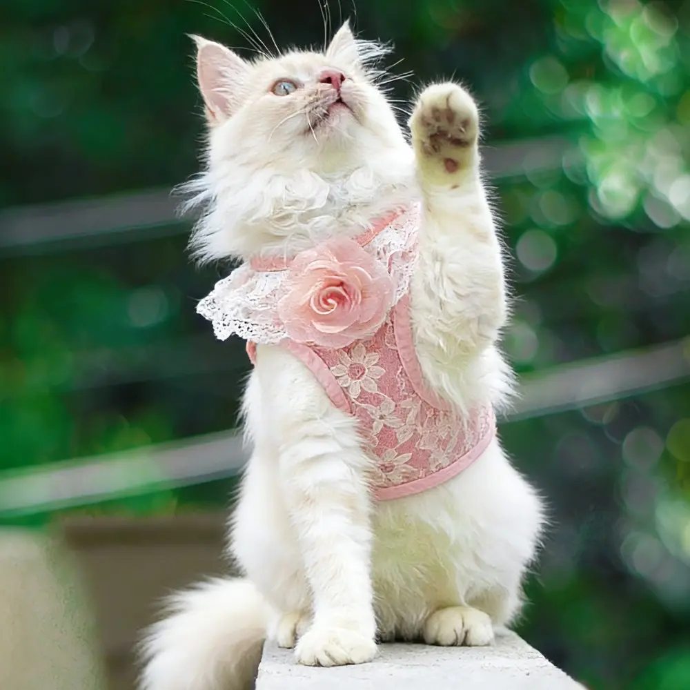 Pink Lace Pet Harness and Leash System with Floral Vest Vest-Style Harness & 47.24in Leash Suitable for Dogs and Cats, Kitten Harness, Lace Collar Harness for Walking, for Small to Breeds, Harness Leash Set, Harness Leash Combo