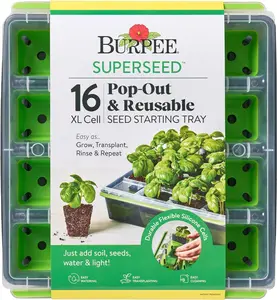SuperSeed Seed Starting Tray | 16 XL Cell | Reusable & Dishwasher Safe | for Starting Vegetable Seeds, Flower Seeds & Herb Seeds | Indoor Grow Kit for Deep-Rooted Seedlings, Green