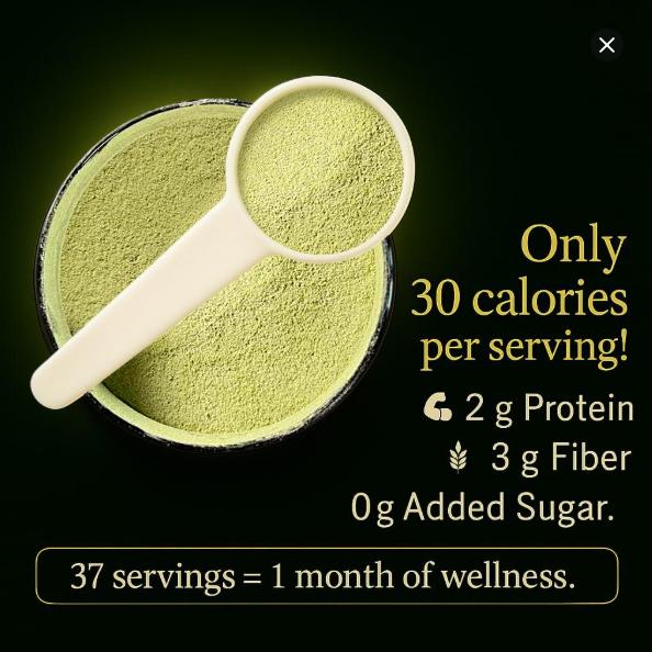 Zelore Greens Blend Superfood Powder Mix for Energy Organic Spirulina Chlorella Beet Root Digestive Enzymes Probiotics 37 Servings 300g 10.5 OZ