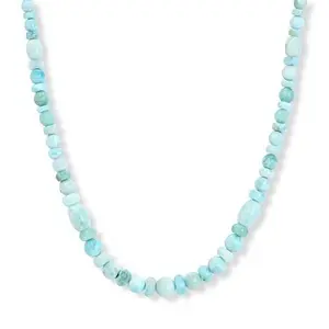 Mine Finds by Jay King Sterling Silver Larimar Bead Necklace
