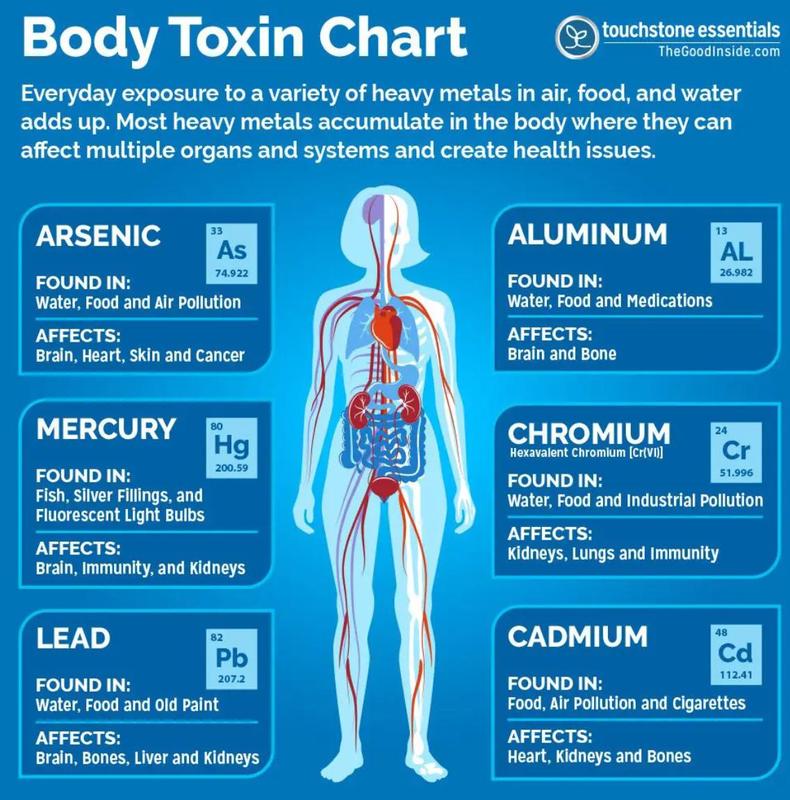 Pure Body Extra 60 mL Touchstone Essentials - Zeolite Detox Pack - Fulvic Detox Pack - DETOX Minerals Dietary Supplement - Healthcare, Vitamin